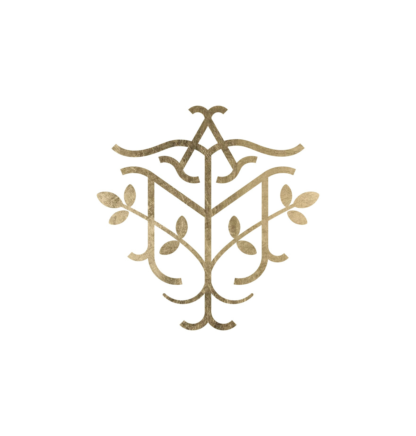 All Moringa Tree Coupons and Promo Code