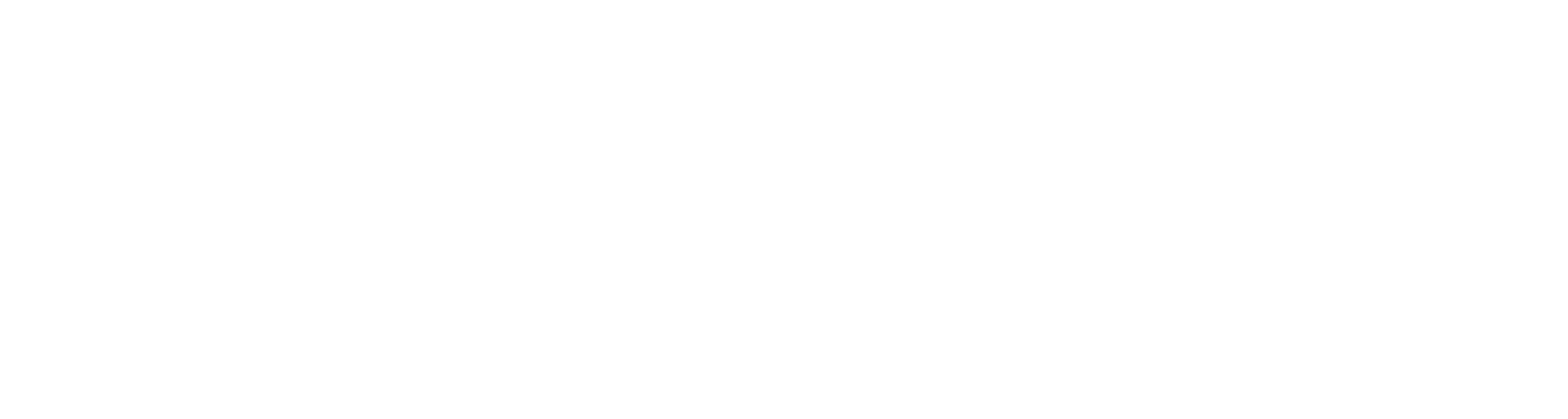Anthony Veer Coupons and Promo Code