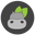 Hippo7 Coupons and Promo Code
