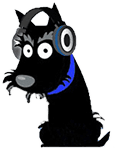 Hitec Pet Coupons and Promo Code