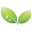 Naturaful Coupons and Promo Code