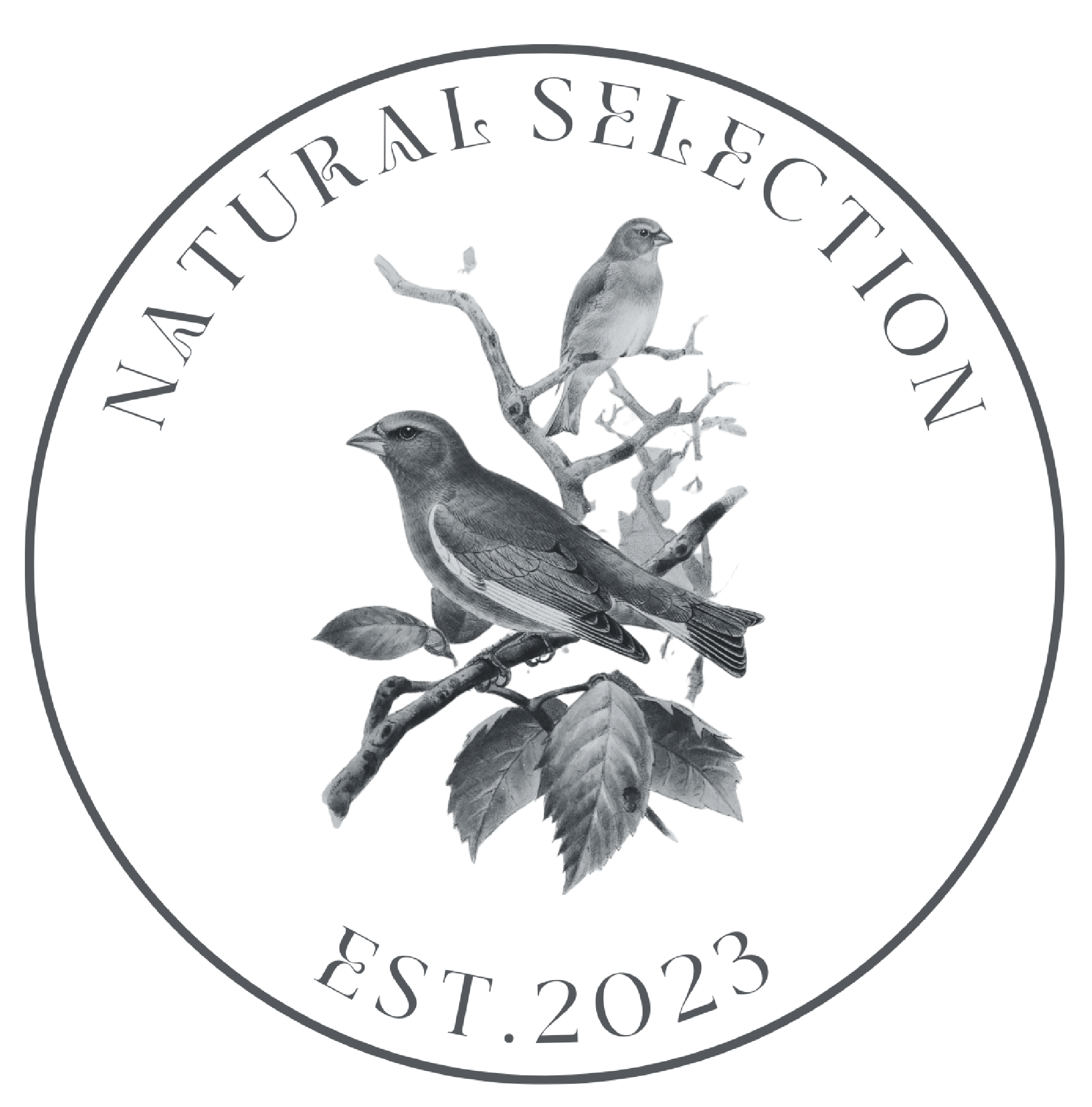 Natural Selection Ny Coupons and Promo Code