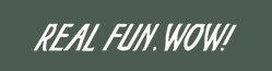 Real Fun Wow Coupons and Promo Code
