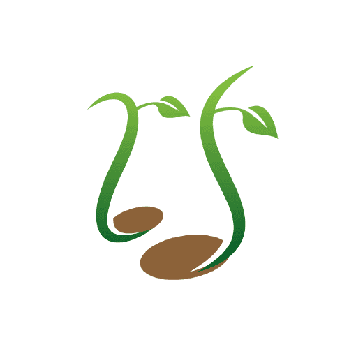 Sprout Spout Coupons and Promo Code