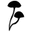 Tryauri Coupons and Promo Code