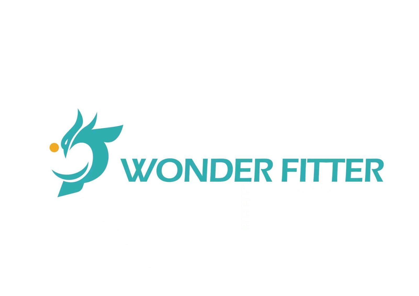 Wonderfitter Coupons and Promo Code