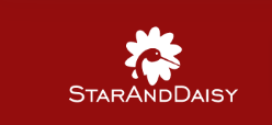 StarAndDaisy Coupons and Promo Code