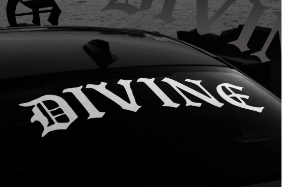 Divine Aspiration Coupons and Promo Code