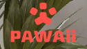 Pawaii Coupons and Promo Code