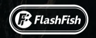 Flashfish Tech Coupons and Promo Code