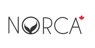 Norca Swim Coupons and Promo Code