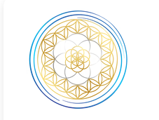 Vibroacoustic Solutions Coupons and Promo Code