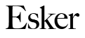 Esker Beauty Coupons and Promo Code