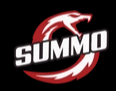 Summo Sports Coupons and Promo Code